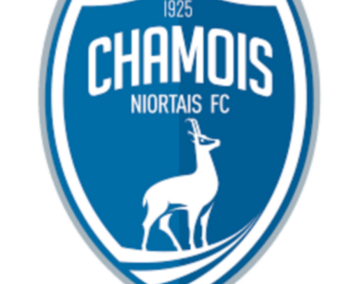 CHAMOIS NIORTAIS B